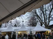 SBR251210BF3120251210145646resized