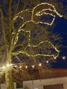 SBR251210BF3720251210165557resized