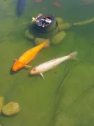 SBR240806BF2520240806131934resized