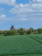 SBR20230503Bus1IRB-15