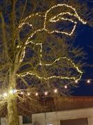 20251210165557resized