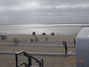 BG260423BF1WDL8